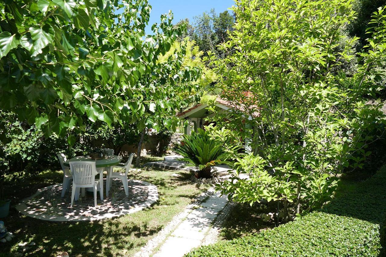Apartments Davorka Kampor Luaran gambar